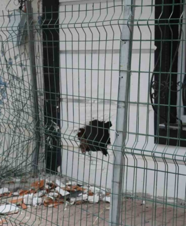 Arnavutköy’de freni boşalan aracın sürücüsü binaya çarptı: Evin duvarında delik oluştu