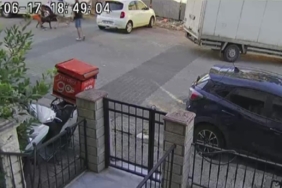 Ataşehir’de birbirine giren köpekleri motosiklet kaskı ile vurarak ayırdı