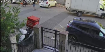 Ataşehir’de birbirine giren köpekleri motosiklet kaskı ile vurarak ayırdı