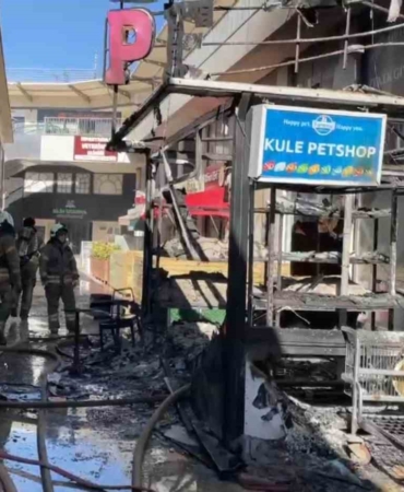 Avcılar’da bir petshopta çıkan yangında faciadan dönüldü