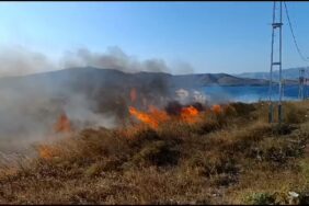 Avşa’da arazi yangını yürekleri ağıza getirdi