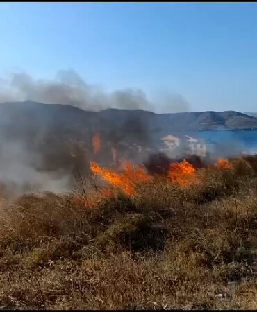 Avşa’da arazi yangını yürekleri ağıza getirdi