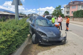 Aydınlatma direğine çarpıp devrildi