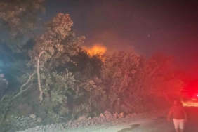 Ayvacık’ta orman yangını: 1 köy boşaltıldı