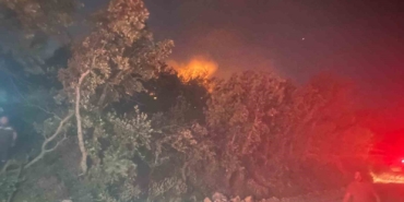 Ayvacık’ta orman yangını: 1 köy boşaltıldı