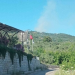 Ayvacık’ta orman yangını
