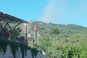 Ayvacık’ta orman yangını