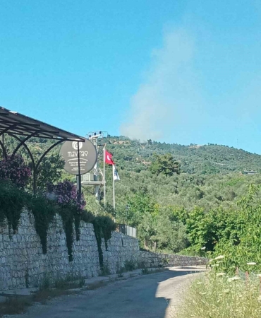 Ayvacık’ta orman yangını