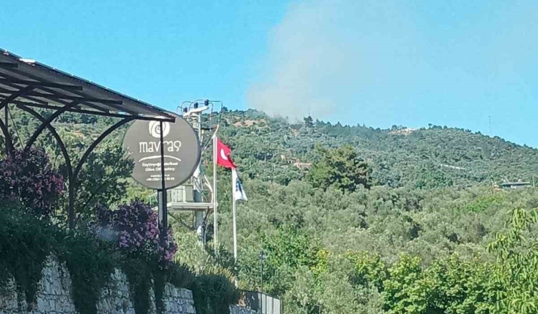 Ayvacık’ta orman yangını