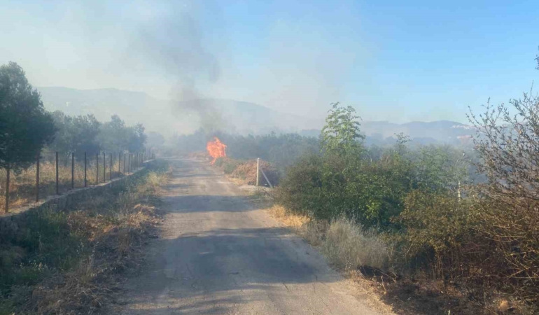 Ayvacık’ta orman yangını