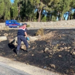 Ayvacık’ta yangının ilk çıktığı noktada jandarma incelemelerde bulundu