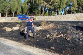 Ayvacık’ta yangının ilk çıktığı noktada jandarma incelemelerde bulundu