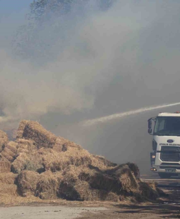 Ayvalık’ta çöp döküm alanında çıkan yangın otluk ve zeytinlik alana sıçradı