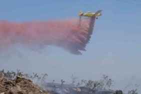 Ayvalık’taki yangın kontrol altına alındı