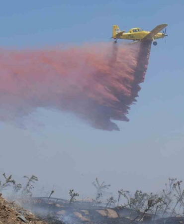 Ayvalık’taki yangın kontrol altına alındı