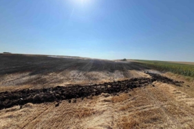 Babaeski’de elektrik direğine çarpan kuş tarlayı yaktı