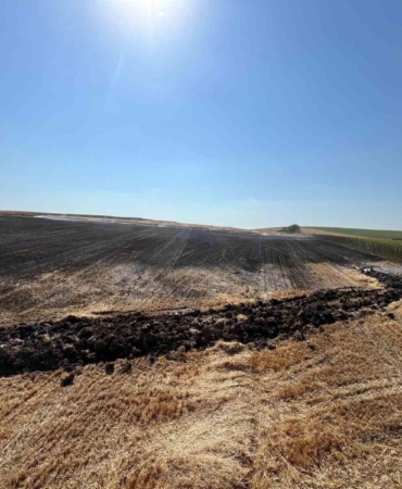 Babaeski’de elektrik direğine çarpan kuş tarlayı yaktı