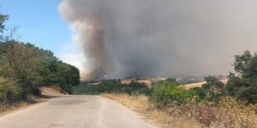 Balıkesir Bigadiç’te arazi yangını