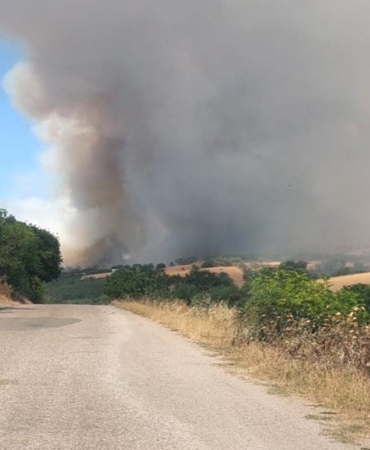 Balıkesir Bigadiç’te arazi yangını
