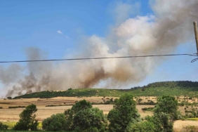 Balıkesir’de makilik alandaki yangın ormana sıçradı