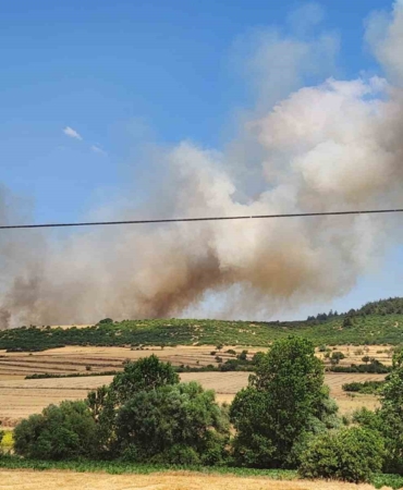 Balıkesir’de makilik alandaki yangın ormana sıçradı
