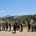 Balıkesir’de orman yangını kontrol altına alındı