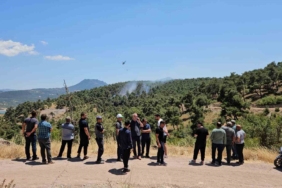 Balıkesir’de orman yangını kontrol altına alındı