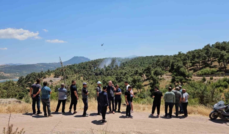 Balıkesir’de orman yangını kontrol altına alındı