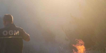 Balıkesir’de orman yangını