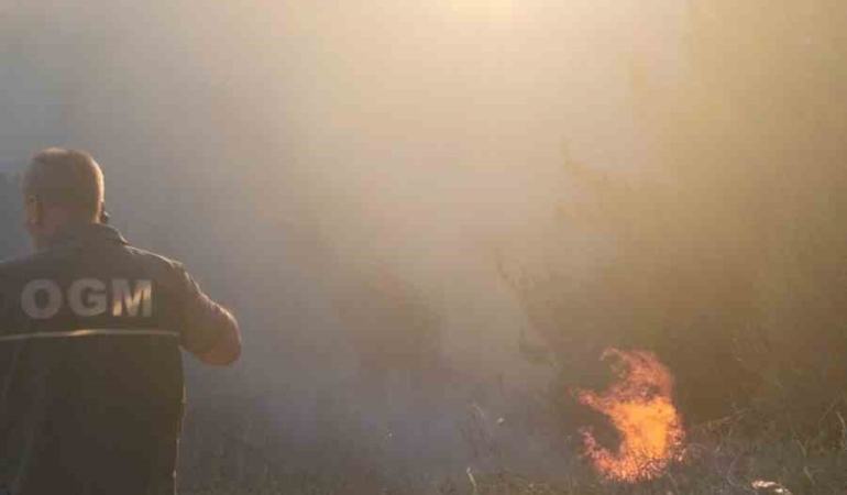 Balıkesir’de orman yangını