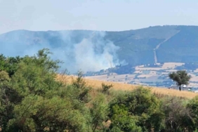 Balıkesir’de orman yangını