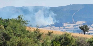Balıkesir’de orman yangını