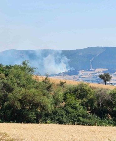Balıkesir’de orman yangını