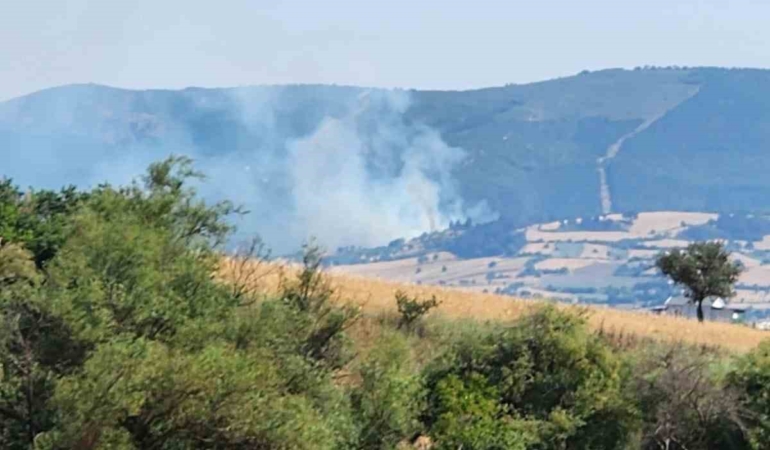 Balıkesir’de orman yangını