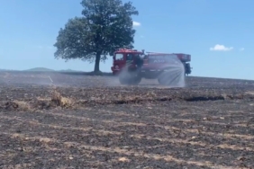 Balıkesir’de tarla yangını: 35 ton buğday kül oldu