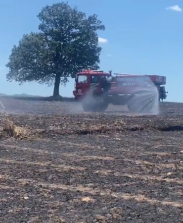Balıkesir’de tarla yangını: 35 ton buğday kül oldu