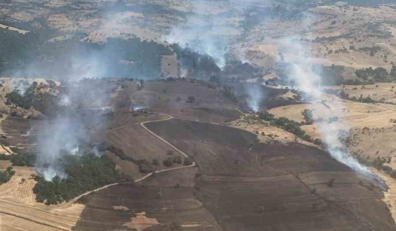 Balıkesir’deki orman yangını kontrol altında