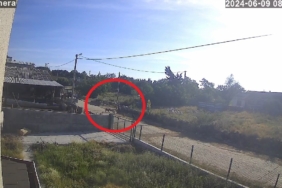 Bandırma’da başıboş köpek dehşeti kamerada...Kadın çığlıklar içinde yerde kaldı