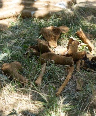 Başakşehir’de kazı sırasında tarihi olduğu değerlendirilen mezar bulundu