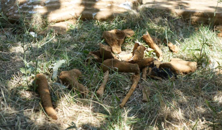 Başakşehir’de kazı sırasında tarihi olduğu değerlendirilen mezar bulundu