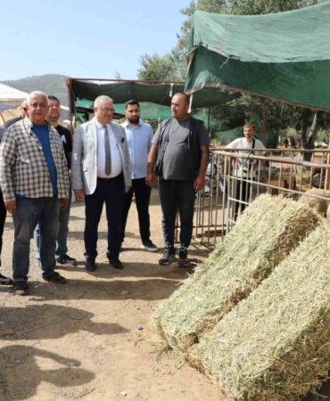 Başkan Ertaş: “Kurban Bayramı dayanışma demektir”