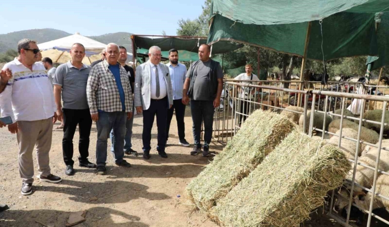 Başkan Ertaş: “Kurban Bayramı dayanışma demektir”