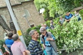 Bayram alışverişi yapanların üzerine ağaç devrildi
