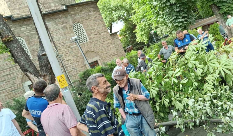 Bayram alışverişi yapanların üzerine ağaç devrildi
