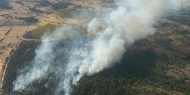 Bayramiç’te orman yangını