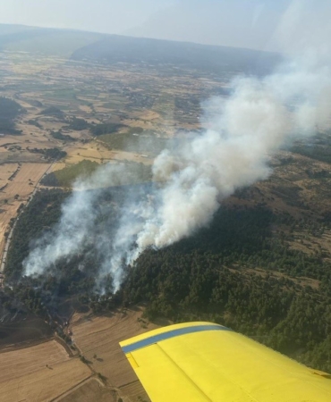 Bayramiç’te orman yangını