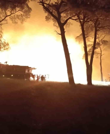 Bayramiç’teki orman yangını kontrol altına alındı