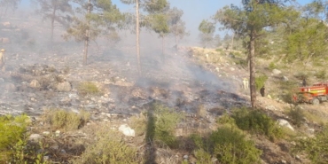 Bayramiç’teki yangında 5 hektar alan zarar gördü