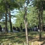 Bayrampaşa’da kaçak kurban kesenler kamerada