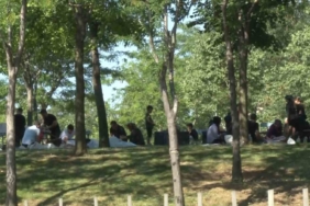 Bayrampaşa’da kaçak kurban kesenler kamerada